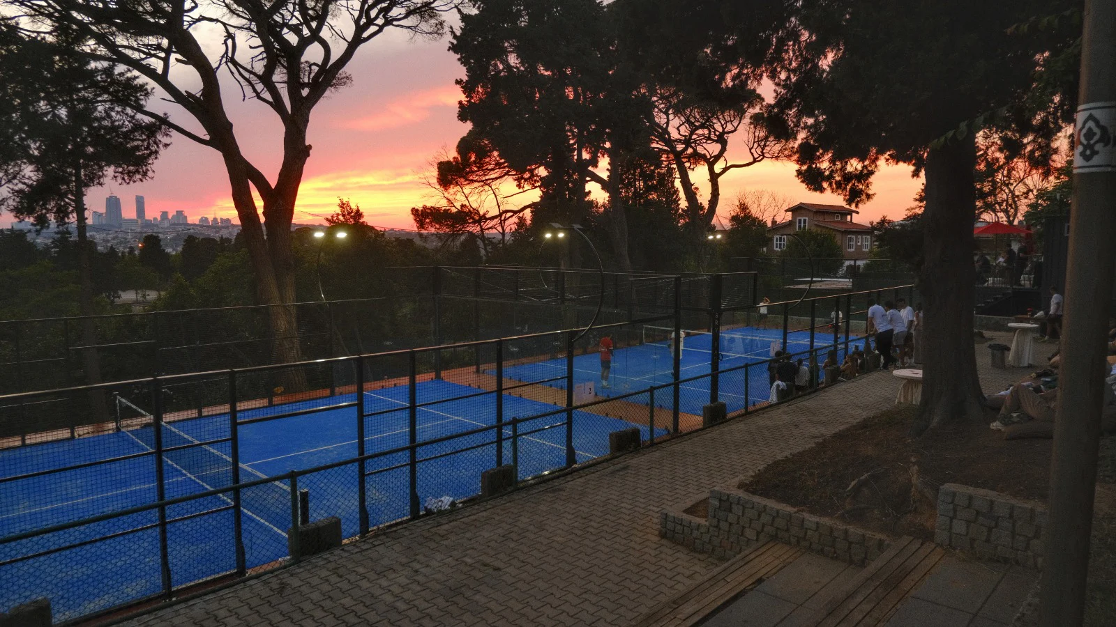 Blue More Padel courts beneath pine trees at sunset